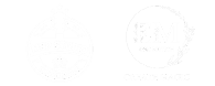 Motion Graphics | MSP Network Motion Graphics Sri Lanka